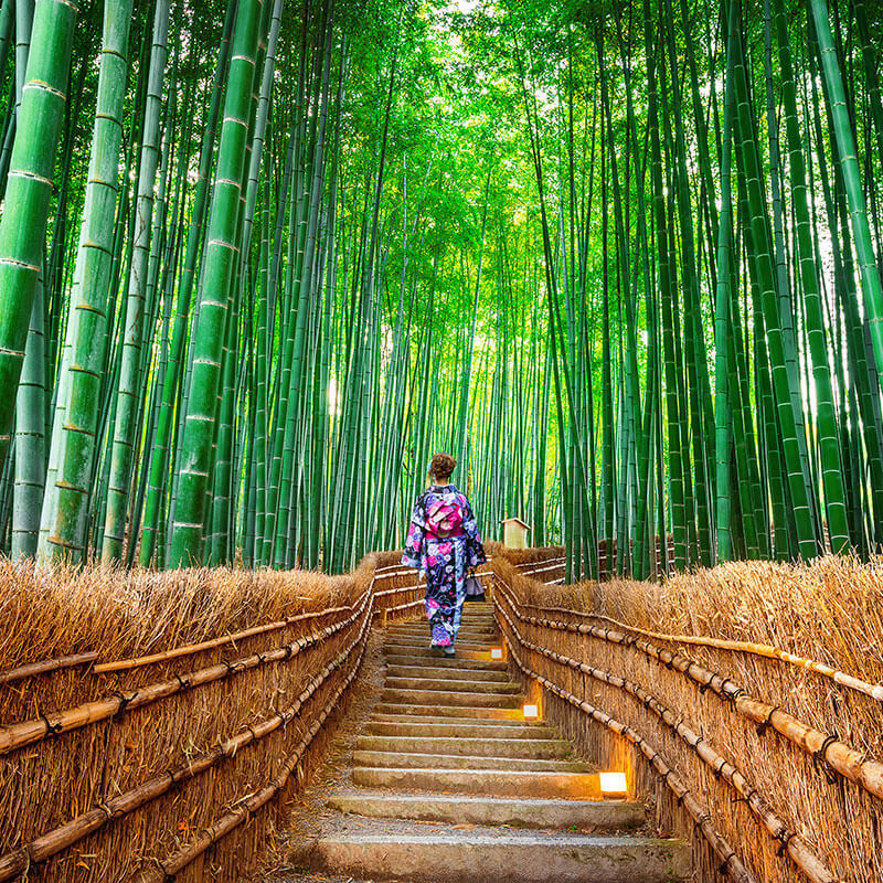 公益社団法人京都青年会議所 2026年度HP 覧古恒心～愛を貫き、未来を拓く～